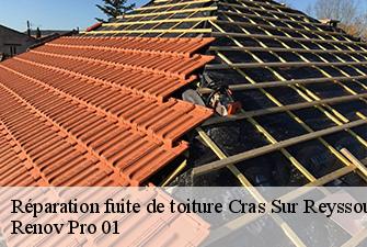 Réparation fuite de toiture  cras-sur-reyssouze-01340 Renov Pro 01