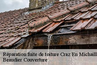 Réparation fuite de toiture  craz-en-michaille-01200 Beaudier Couverture 