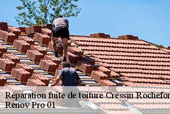 Réparation fuite de toiture  cressin-rochefort-01350 Renov Pro 01