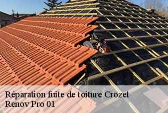 Réparation fuite de toiture  crozet-01170 Renov Pro 01