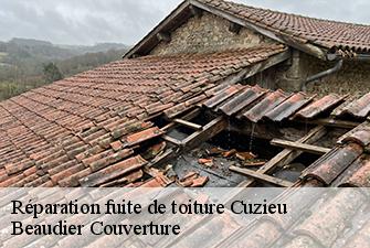 Réparation fuite de toiture  cuzieu-01300 Beaudier Couverture 