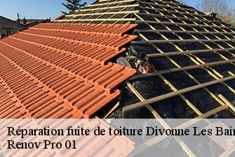 Réparation fuite de toiture  divonne-les-bains-01220 Renov Pro 01