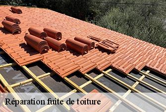 Réparation fuite de toiture  dommartin-01380 Renov Pro 01