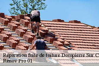 Réparation fuite de toiture  dompierre-sur-chalaronne-01400 Renov Pro 01