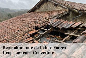 Réparation fuite de toiture farges-01550 Kenji Lagrenee Couverture