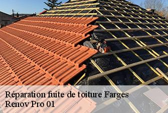 Réparation fuite de toiture  farges-01550 Renov Pro 01