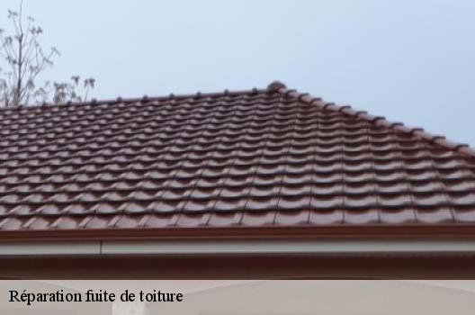 Réparation fuite de toiture  fitignieu-01260 