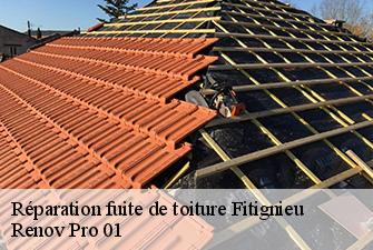 Réparation fuite de toiture  fitignieu-01260 Renov Pro 01