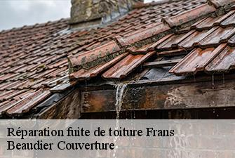 Réparation fuite de toiture  frans-01480 Beaudier Couverture 