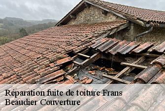 Réparation fuite de toiture  frans-01480 Beaudier Couverture 