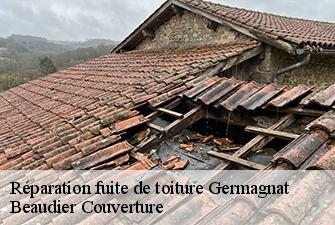 Réparation fuite de toiture  germagnat-01250 Beaudier Couverture 