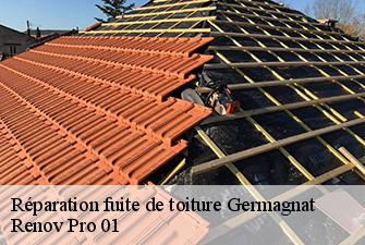 Réparation fuite de toiture  germagnat-01250 Renov Pro 01