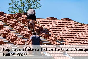 Réparation fuite de toiture  le-grand-abergement-01260 Renov Pro 01