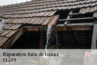 Réparation fuite de toiture grand-corent-01250 Kenji Lagrenee Couverture