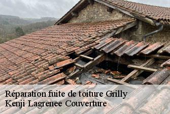 Réparation fuite de toiture grilly-01220 Kenji Lagrenee Couverture