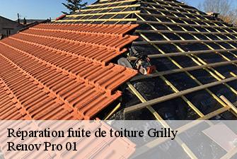 Réparation fuite de toiture  grilly-01220 Renov Pro 01