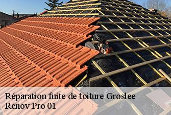 Réparation fuite de toiture  groslee-01680 Renov Pro 01