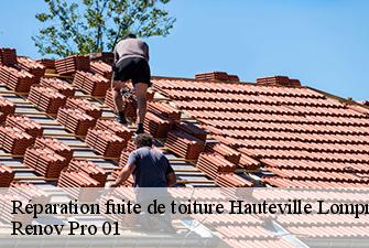 Réparation fuite de toiture  hauteville-lompnes-01110 Renov Pro 01