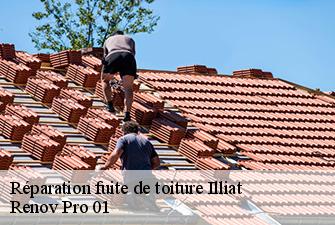 Réparation fuite de toiture  illiat-01140 Renov Pro 01