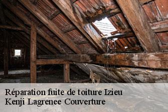 Réparation fuite de toiture izieu-01300 Kenji Lagrenee Couverture