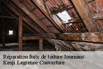 Réparation fuite de toiture journans-01250 Kenji Lagrenee Couverture