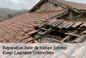 Réparation fuite de toiture joyeux-01800 Kenji Lagrenee Couverture