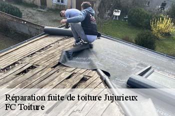 Réparation fuite de toiture  jujurieux-01640 