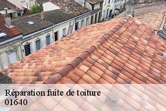 Réparation fuite de toiture  jujurieux-01640 Renov Pro 01