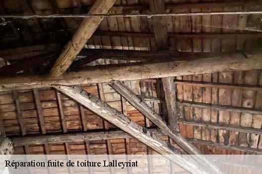 Réparation fuite de toiture  lalleyriat-01130 