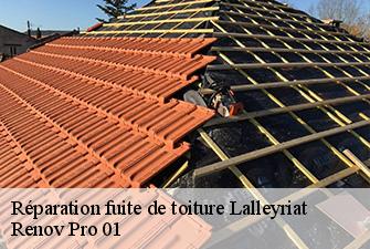 Réparation fuite de toiture  lalleyriat-01130 Renov Pro 01
