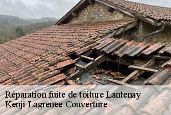 Réparation fuite de toiture lantenay-01430 Kenji Lagrenee Couverture