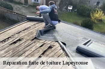 Réparation fuite de toiture  lapeyrouse-01330 