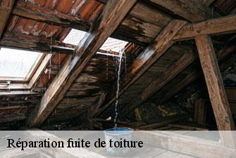 Réparation fuite de toiture mantenay-montlin-01560 Kenji Lagrenee Couverture