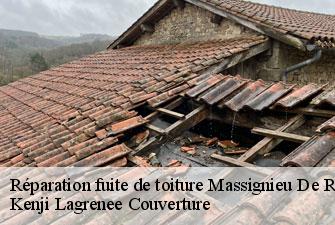 Réparation fuite de toiture massignieu-de-rives-01300 Kenji Lagrenee Couverture