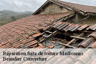 Réparation fuite de toiture  meillonnas-01370 Beaudier Couverture 