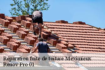 Réparation fuite de toiture  meximieux-01800 Renov Pro 01