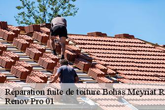 Réparation fuite de toiture  bohas-meyriat-rignat-01250 Renov Pro 01
