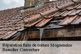 Réparation fuite de toiture  mogneneins-01140 Beaudier Couverture 
