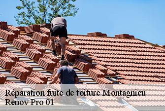 Réparation fuite de toiture  montagnieu-01470 Renov Pro 01