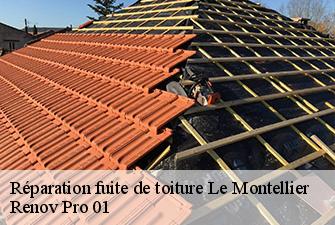 Réparation fuite de toiture  le-montellier-01800 Renov Pro 01