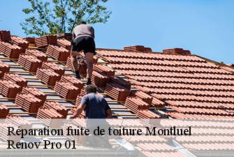Réparation fuite de toiture montluel-01120 Renov Pro 01