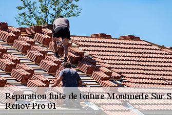Réparation fuite de toiture  montmerle-sur-saone-01090 Renov Pro 01