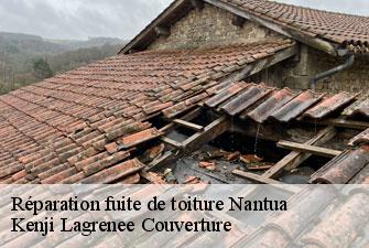 Réparation fuite de toiture nantua-01130 Kenji Lagrenee Couverture