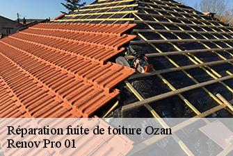 Réparation fuite de toiture  ozan-01190 Renov Pro 01