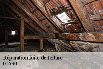 Réparation fuite de toiture  peron-01630 Beaudier Couverture 