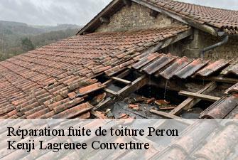 Réparation fuite de toiture peron-01630 Kenji Lagrenee Couverture