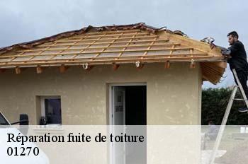 Réparation fuite de toiture  pirajoux-01270 