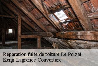 Réparation fuite de toiture  le-poizat-01130 Kenji Lagrenee Couverture