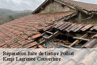 Réparation fuite de toiture polliat-01310 Kenji Lagrenee Couverture