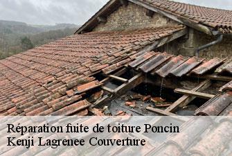 Réparation fuite de toiture poncin-01450 Kenji Lagrenee Couverture